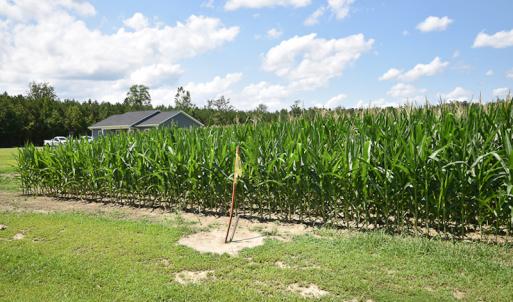 Photo #14 of SOLD property in Off River Town Rd, Yale, VA 90.0 acres
