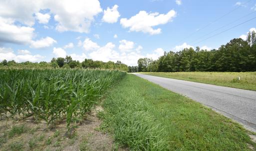 Photo #7 of SOLD property in Off River Town Rd, Yale, VA 90.0 acres