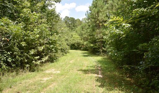 Photo #8 of SOLD property in Off River Town Rd, Yale, VA 90.0 acres