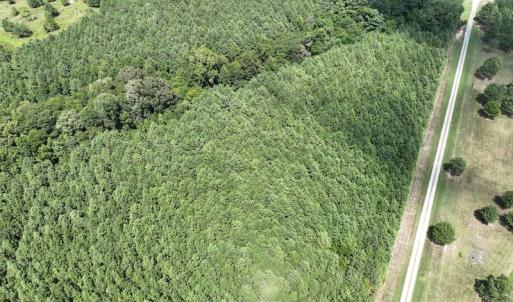 Photo #4 of SOLD property in Off NC HWY 32 N, Corapeake, NC 10.0 acres