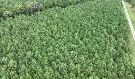 Photo #5 of SOLD property in Off NC HWY 32 N, Corapeake, NC 10.0 acres