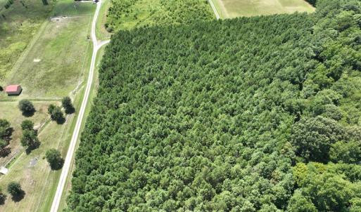 Photo #12 of SOLD property in Off NC HWY 32 N, Corapeake, NC 10.0 acres