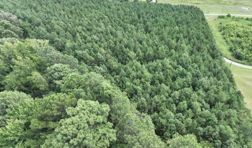 Photo #18 of SOLD property in Off NC HWY 32 N, Corapeake, NC 10.0 acres