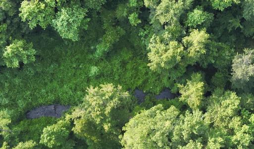 Photo #10 of SOLD property in Off Dunn Rd, Eastover, NC 23.8 acres