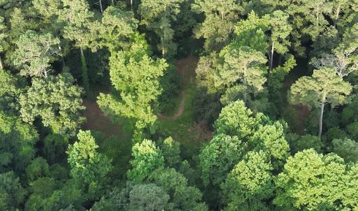 Photo #11 of SOLD property in Off Dunn Rd, Eastover, NC 23.8 acres