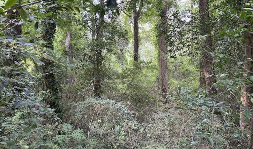Photo #16 of SOLD property in Off Dunn Rd, Eastover, NC 23.8 acres