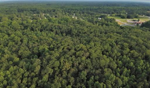 Photo #6 of SOLD property in Off Dunn Rd, Eastover, NC 23.8 acres