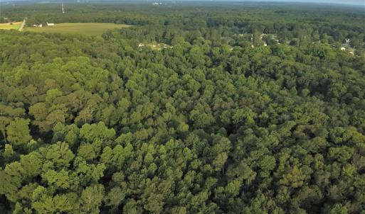 Photo #7 of SOLD property in Off Dunn Rd, Eastover, NC 23.8 acres