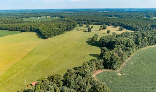 Photo #6 of SOLD property in Off Pope Station Rd, Capron, VA 70.0 acres