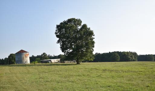 Photo #15 of SOLD property in Off Pope Station Rd, Capron, VA 70.0 acres