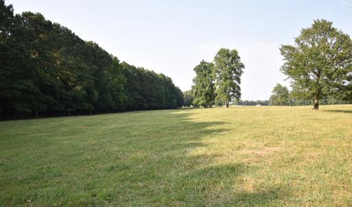 Photo #16 of SOLD property in Off Pope Station Rd, Capron, VA 70.0 acres