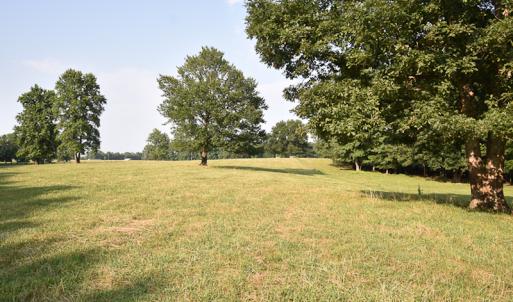 Photo #17 of SOLD property in Off Pope Station Rd, Capron, VA 70.0 acres