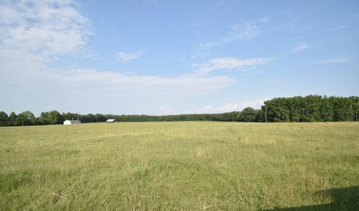 Photo #7 of SOLD property in Off Pope Station Rd, Capron, VA 70.0 acres