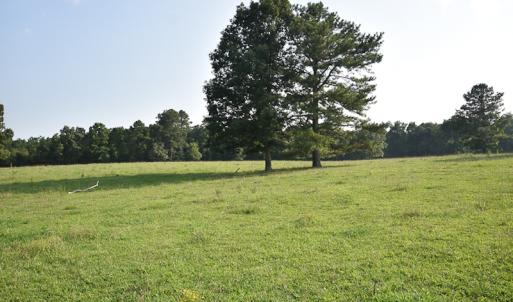 Photo #10 of SOLD property in Off Pope Station Rd, Capron, VA 70.0 acres