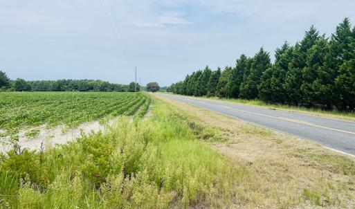 Photo #3 of SOLD property in Off SR 1423 RedHill Church Rd, Whitakers, NC 101.0 acres