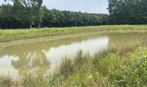 Photo #4 of SOLD property in Off SR 1423 RedHill Church Rd, Whitakers, NC 101.0 acres