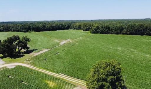Photo #8 of SOLD property in Off SR 1423 RedHill Church Rd, Whitakers, NC 101.0 acres