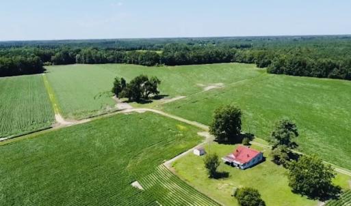 Photo #10 of SOLD property in Off SR 1423 RedHill Church Rd, Whitakers, NC 101.0 acres