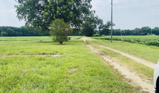 Photo #12 of SOLD property in Off SR 1423 RedHill Church Rd, Whitakers, NC 101.0 acres