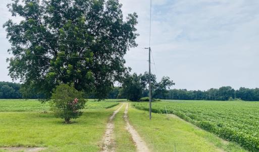 Photo #14 of SOLD property in Off SR 1423 RedHill Church Rd, Whitakers, NC 101.0 acres