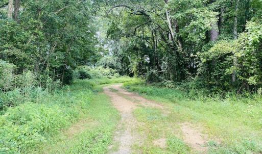 Photo #18 of SOLD property in Off SR 1423 RedHill Church Rd, Whitakers, NC 101.0 acres