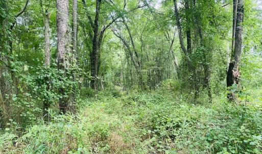 Photo #19 of SOLD property in Off SR 1423 RedHill Church Rd, Whitakers, NC 101.0 acres