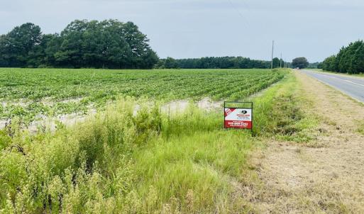 Photo #28 of SOLD property in Off SR 1423 RedHill Church Rd, Whitakers, NC 101.0 acres