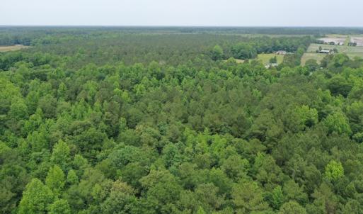 Photo #2 of SOLD property in 878 Pasture Branch Rd, Rose Hill, NC 11.5 acres