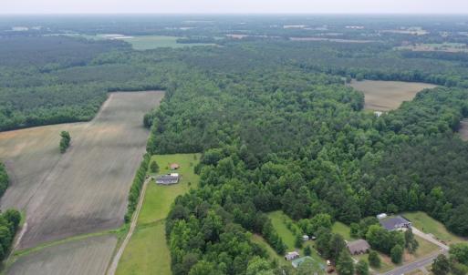 Photo #3 of SOLD property in 878 Pasture Branch Rd, Rose Hill, NC 11.5 acres