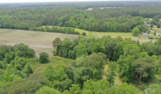 Photo #5 of SOLD property in 878 Pasture Branch Rd, Rose Hill, NC 11.5 acres