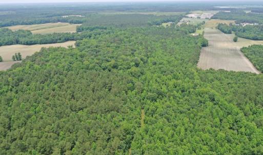 Photo #9 of SOLD property in 878 Pasture Branch Rd, Rose Hill, NC 11.5 acres