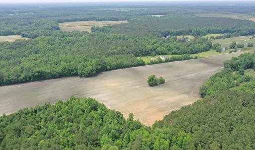 Photo #10 of SOLD property in 878 Pasture Branch Rd, Rose Hill, NC 11.5 acres