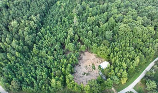 Photo #13 of SOLD property in Off Muscadine Trail, Baskerville, VA 5.0 acres