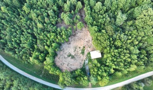 Photo #14 of SOLD property in Off Muscadine Trail, Baskerville, VA 5.0 acres