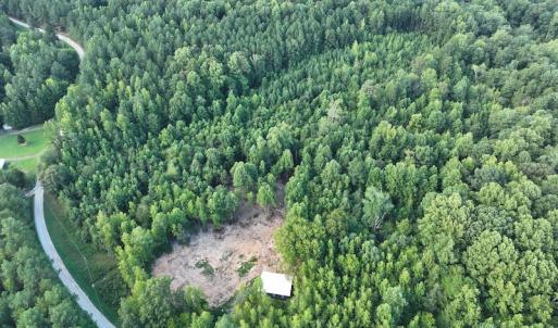 Photo #15 of SOLD property in Off Muscadine Trail, Baskerville, VA 5.0 acres