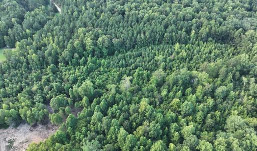 Photo #16 of SOLD property in Off Muscadine Trail, Baskerville, VA 5.0 acres