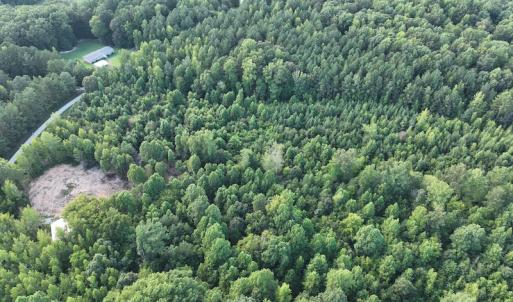Photo #17 of SOLD property in Off Muscadine Trail, Baskerville, VA 5.0 acres