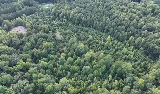 Photo #18 of SOLD property in Off Muscadine Trail, Baskerville, VA 5.0 acres