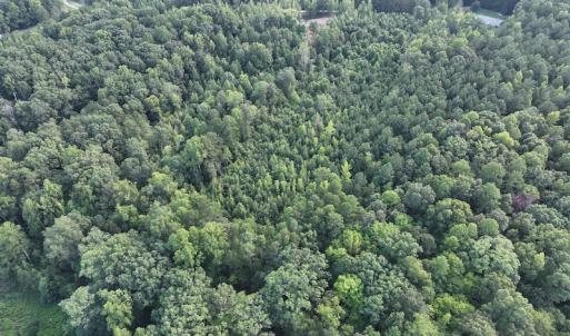 Photo #19 of SOLD property in Off Muscadine Trail, Baskerville, VA 5.0 acres