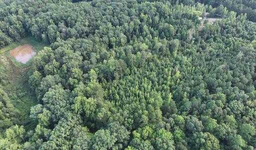 Photo #20 of SOLD property in Off Muscadine Trail, Baskerville, VA 5.0 acres