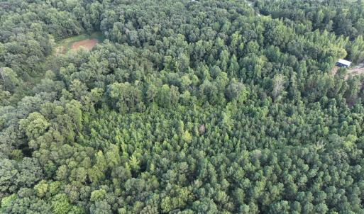 Photo #21 of SOLD property in Off Muscadine Trail, Baskerville, VA 5.0 acres