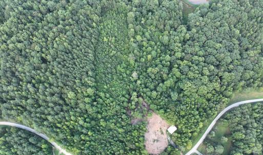 Photo #23 of SOLD property in Off Muscadine Trail, Baskerville, VA 5.0 acres