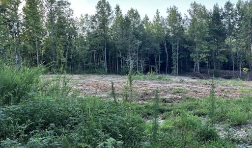 Photo #7 of SOLD property in Off Muscadine Trail, Baskerville, VA 5.0 acres
