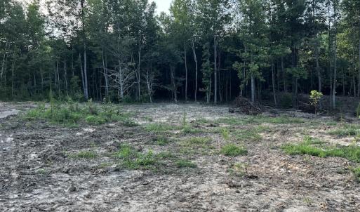 Photo #8 of SOLD property in Off Muscadine Trail, Baskerville, VA 5.0 acres
