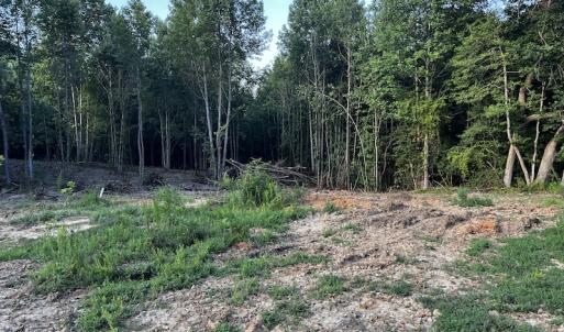 Photo #9 of SOLD property in Off Muscadine Trail, Baskerville, VA 5.0 acres