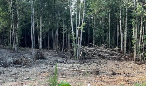 Photo #10 of SOLD property in Off Muscadine Trail, Baskerville, VA 5.0 acres