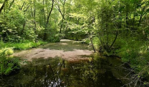 Photo #11 of SOLD property in Off Dixon Rd, Chocowinity, NC 8.3 acres