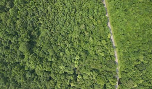 Photo #15 of SOLD property in Off Dixon Rd, Chocowinity, NC 8.3 acres