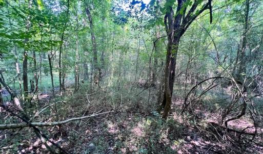 Photo #16 of SOLD property in Off Dixon Rd, Chocowinity, NC 8.3 acres