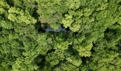 Photo #18 of SOLD property in Off Dixon Rd, Chocowinity, NC 8.3 acres